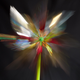 Illustration for article titled Zoom Photo Challenge Gallery 2